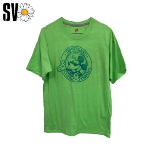 Lote de 10 camisetas Disney de 1,5kg