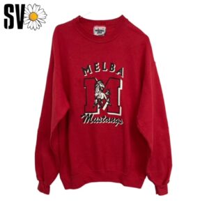 Lote de 10 sudaderas USA Sports de 4,5kg