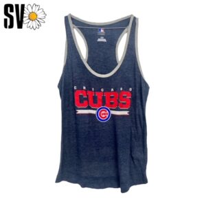 Lote de 10 camisetas USA Sports de 2kg