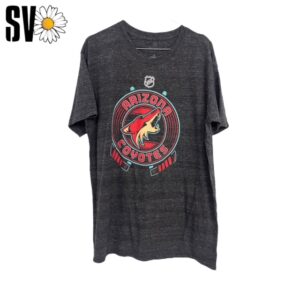 Lote de 10 camisetas USA Sports de 2kg