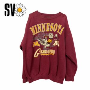 Lote de 10 sudaderas USA Sports de 5,2kg