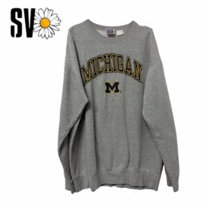 Lote de 10 sudaderas USA Sports de 5,1kg