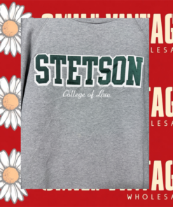 Alternative view of Sudadera USA College